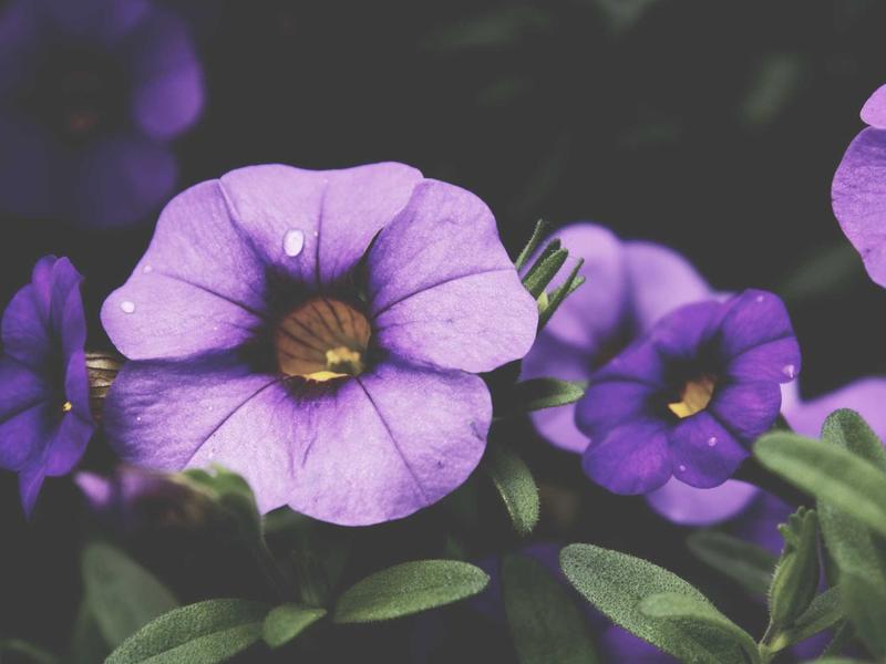 sudoku pattern learning screenshot 2